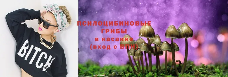 купить   Серпухов  Псилоцибиновые грибы Magic Shrooms 