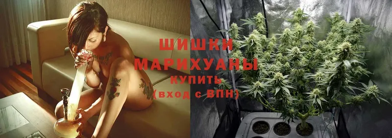 продажа наркотиков  Серпухов  Бошки марихуана индика 